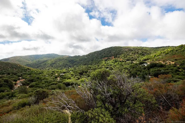a view of a mountain in the distance in a field