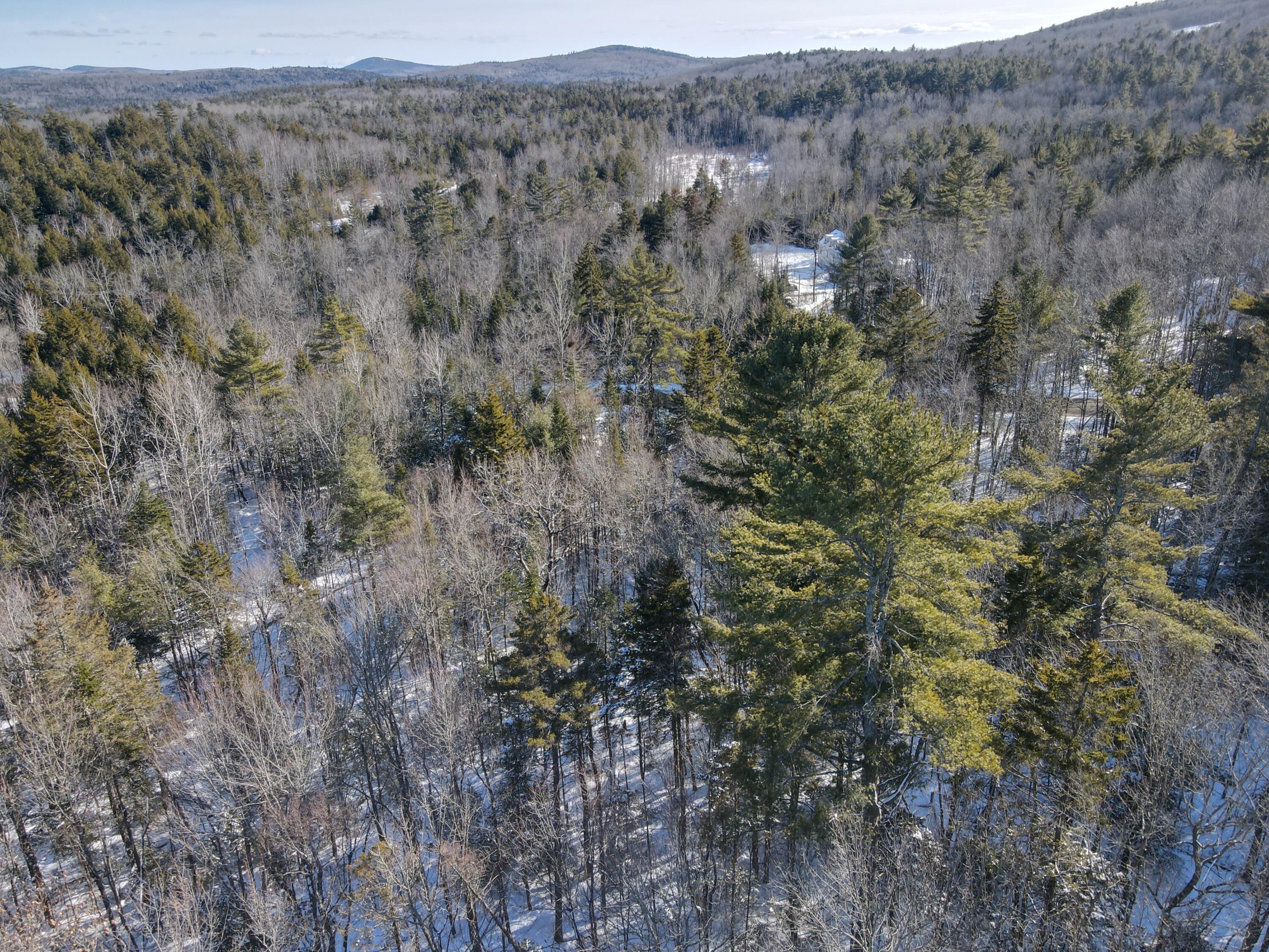 M004-l009e East Bucksport Road Orrington, ME 04474 - Photo 13 of 16 dji_fly_20260222_143044_787_177186666275