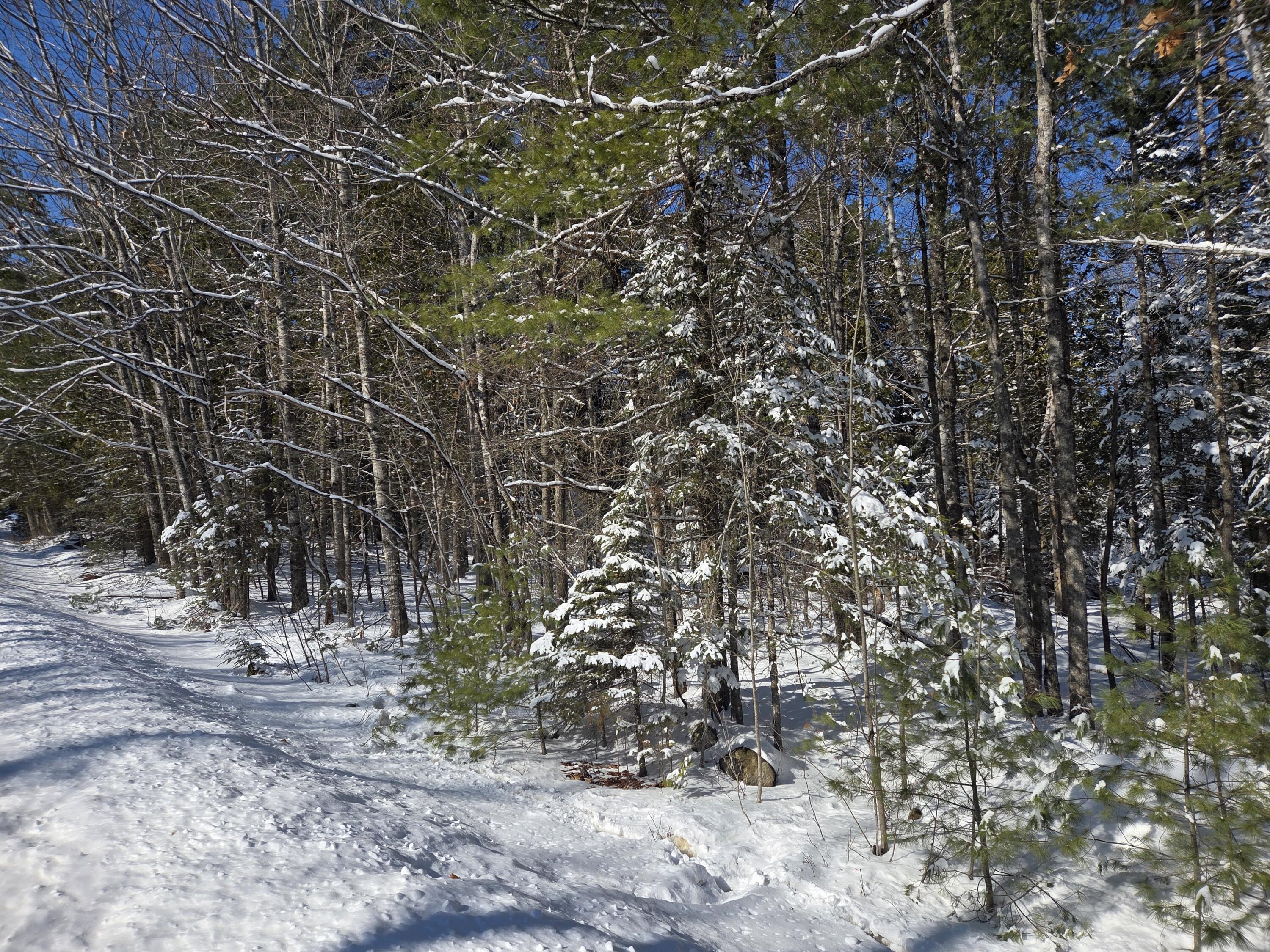 M004-l009e East Bucksport Road Orrington, ME 04474 - Photo 14 of 16 20260221_123031