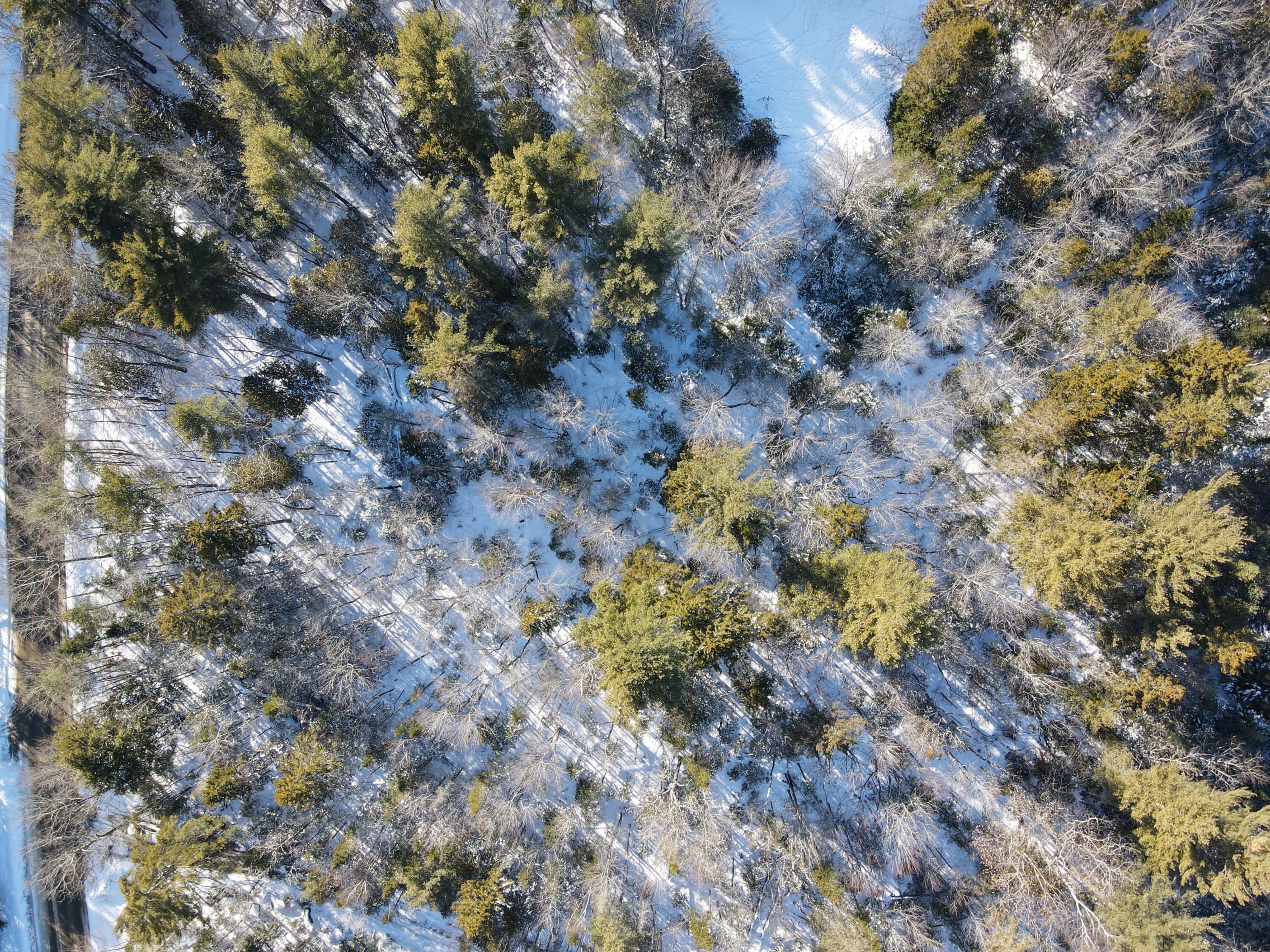 M004-l009e East Bucksport Road Orrington, ME 04474 - Photo 15 of 16 dji_fly_20260222_143124_788_177186665784