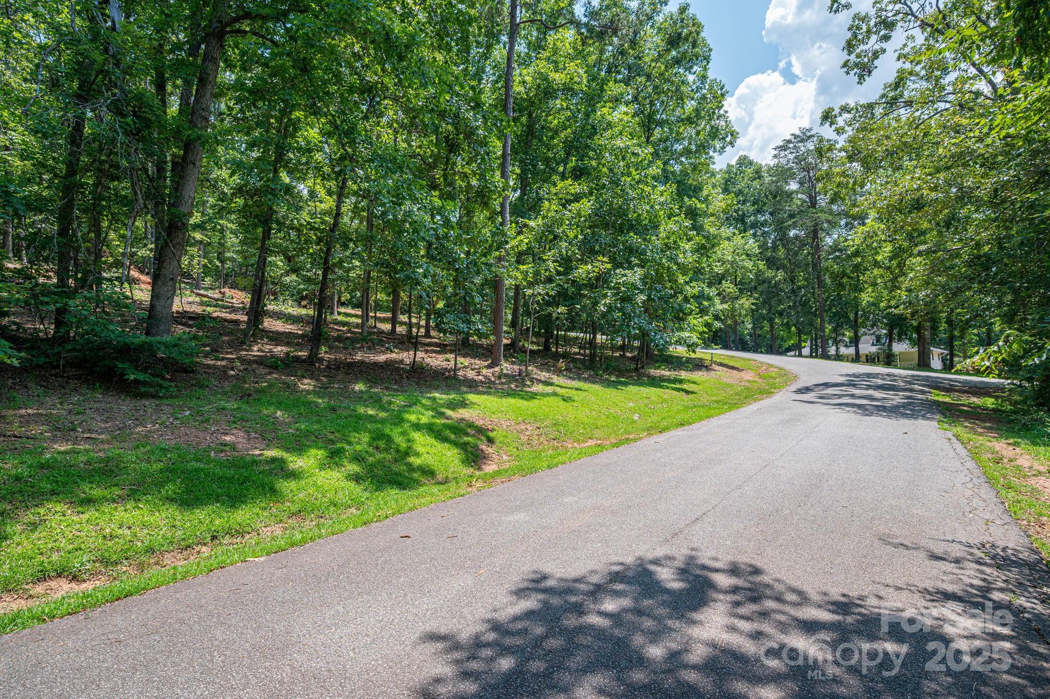 Lot # Moss Drive Rutherfordton, NC 28139 - Photo 11 of 27