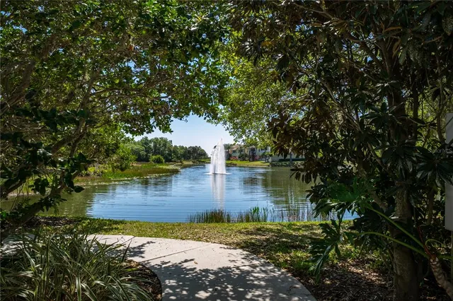 a view of a yard with plants and large trees