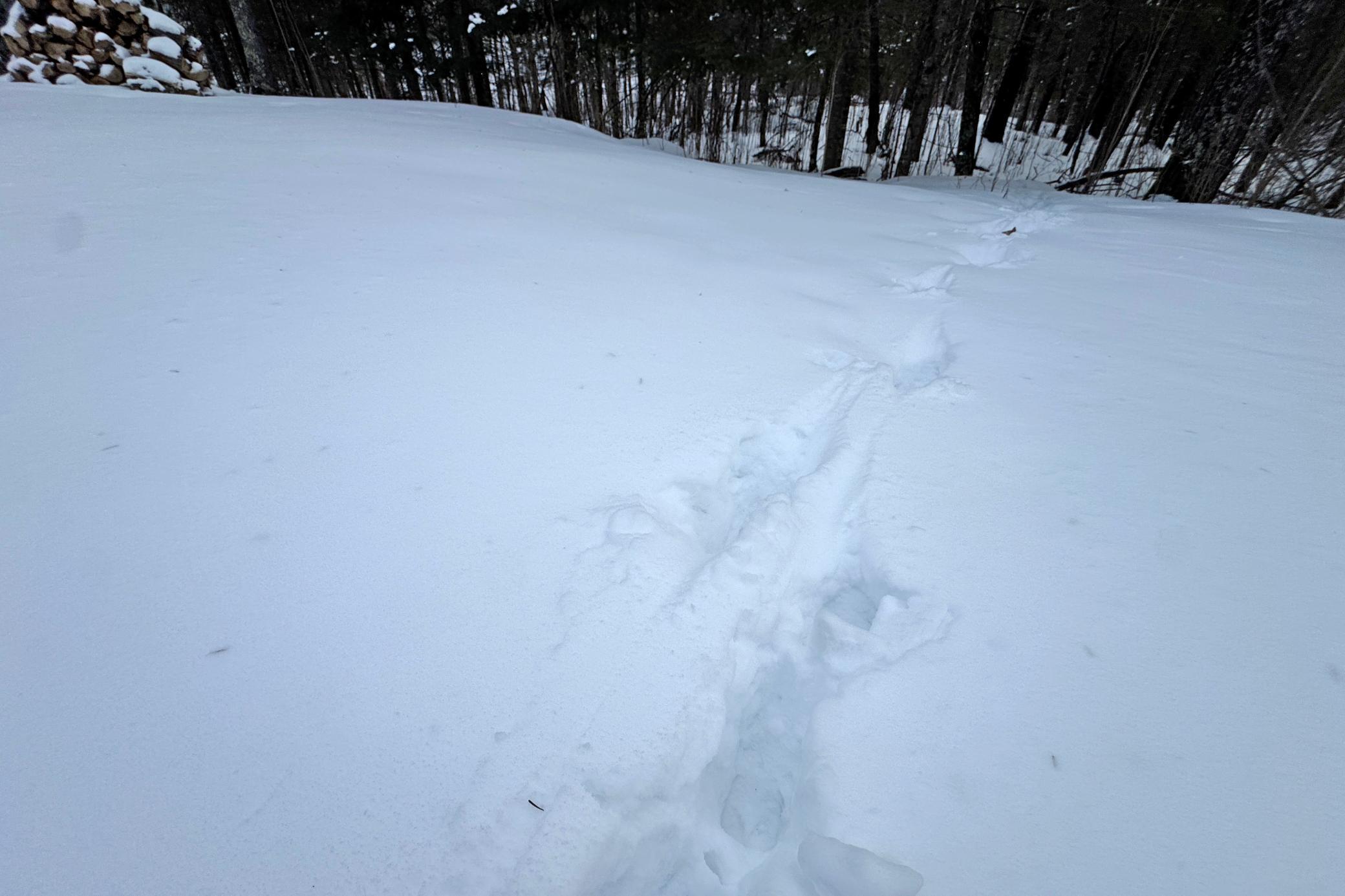 13398 Hart Lake Road Goodland, MN 55742 - Photo 38 of 60