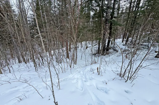 $345,000 | 13398 Hart Lake Road, Goodland, MN 55742