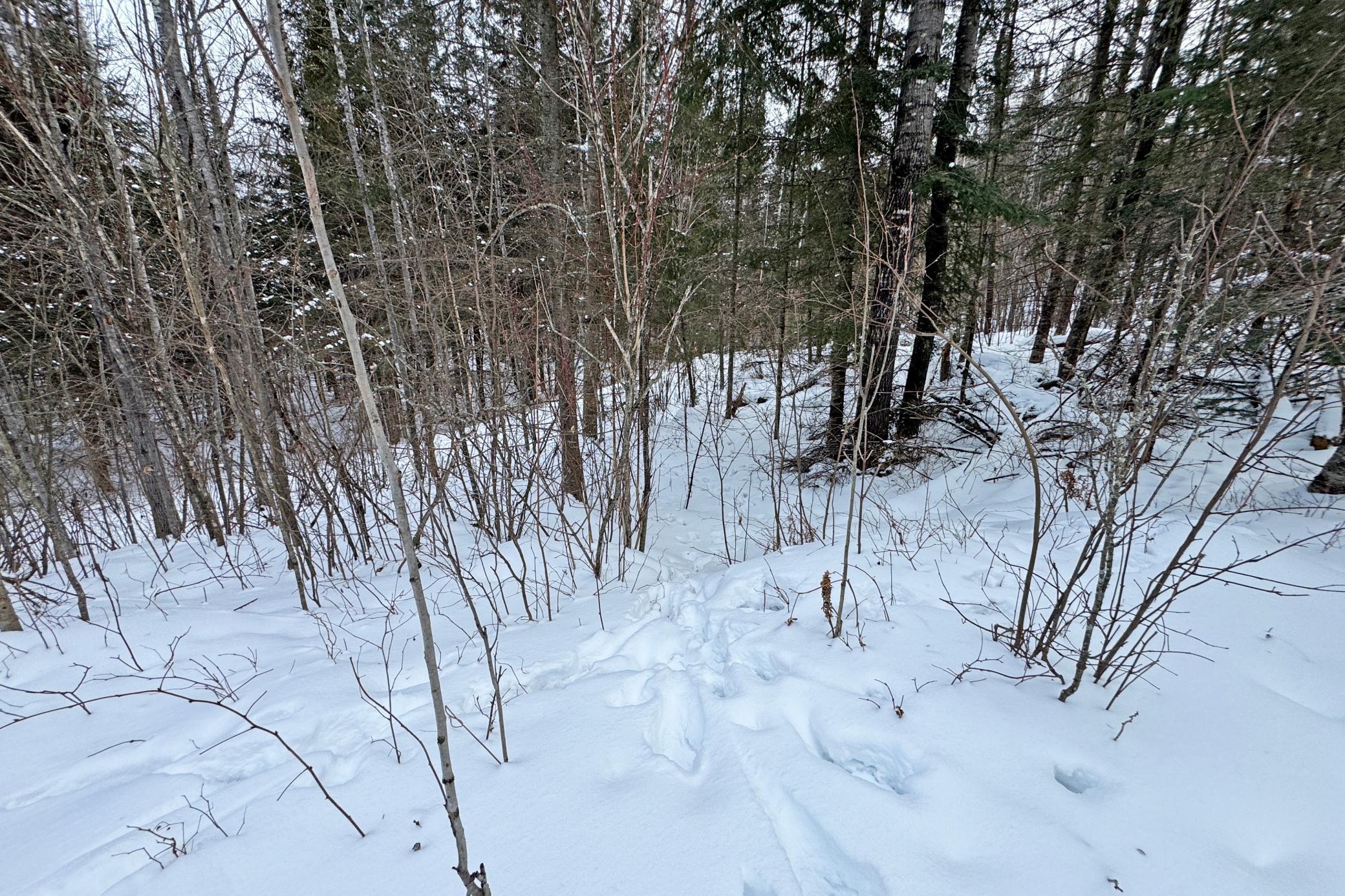13398 Hart Lake Road Goodland, MN 55742 - Photo 41 of 60