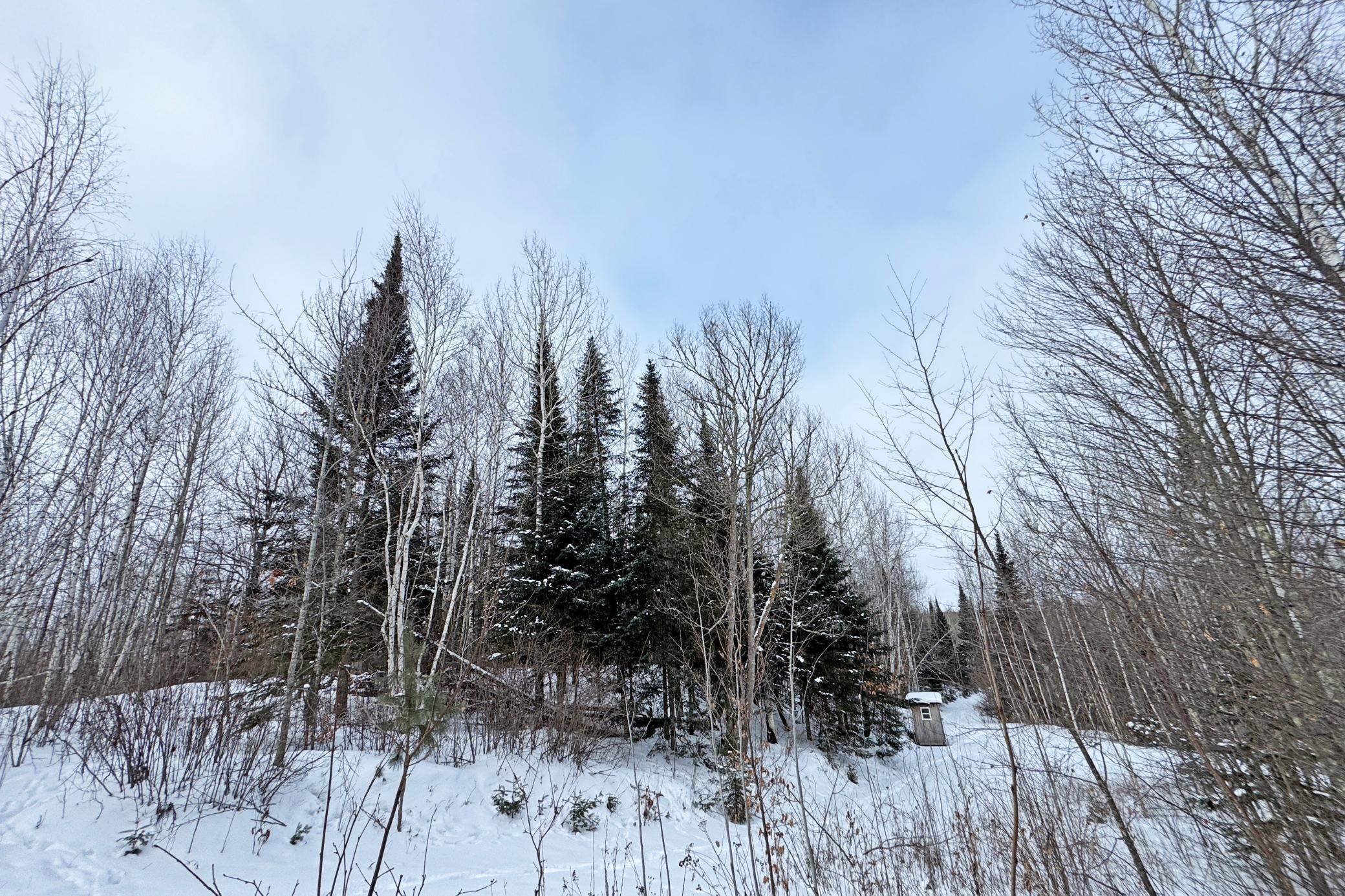 13398 Hart Lake Road Goodland, MN 55742 - Photo 43 of 60