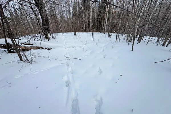 $345,000 | 13398 Hart Lake Road, Goodland, MN 55742