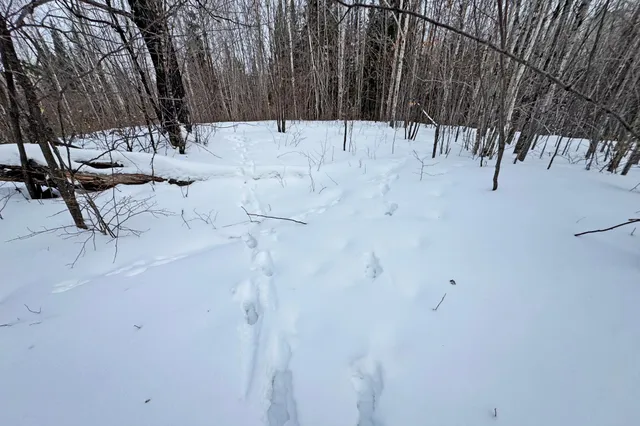 $345,000 | 13398 Hart Lake Road, Goodland, MN 55742