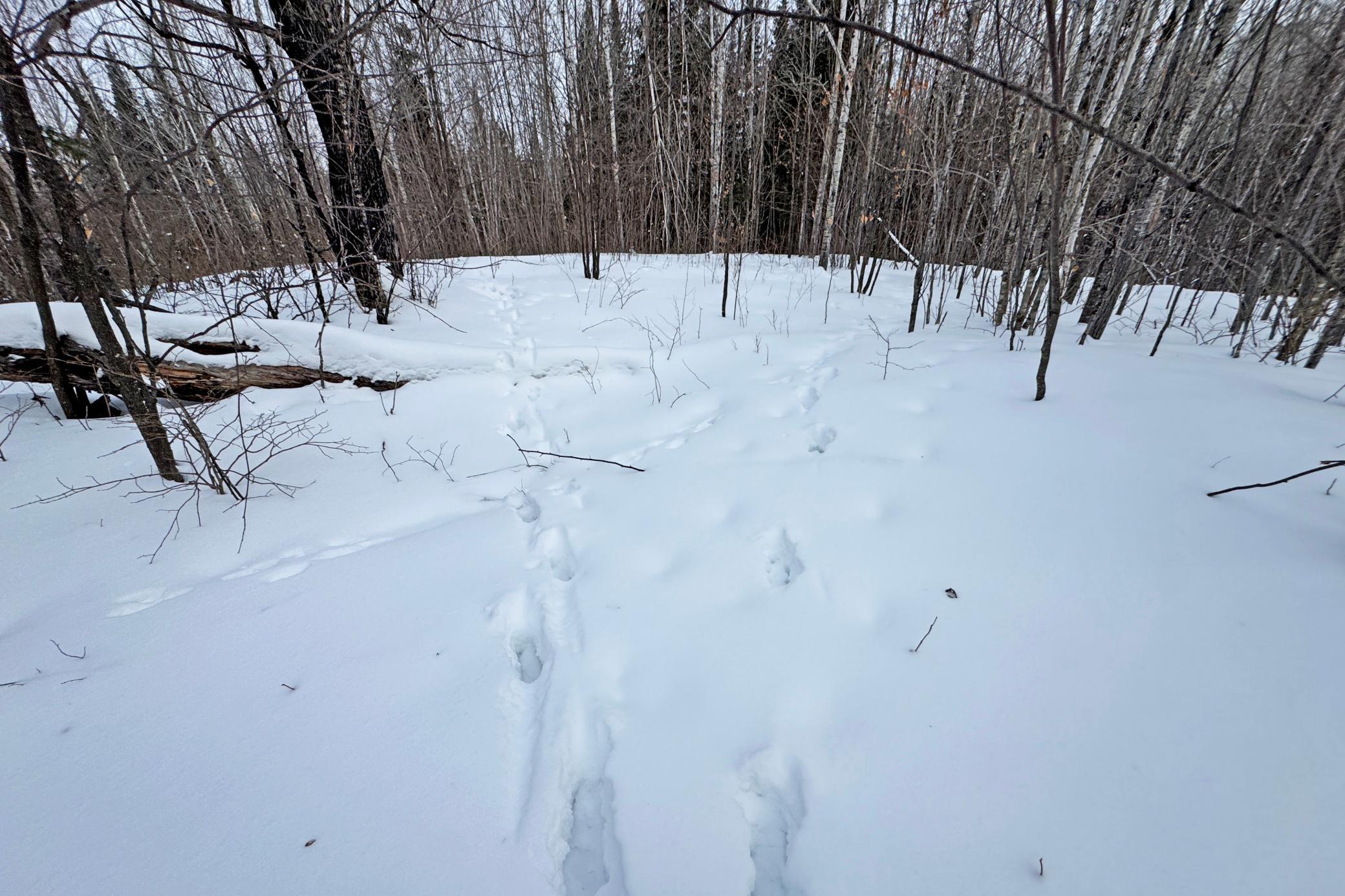 13398 Hart Lake Road Goodland, MN 55742 - Photo 44 of 60