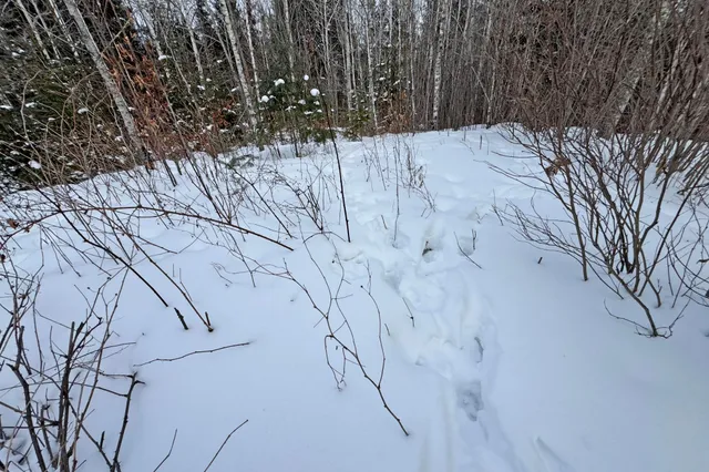 $345,000 | 13398 Hart Lake Road, Goodland, MN 55742