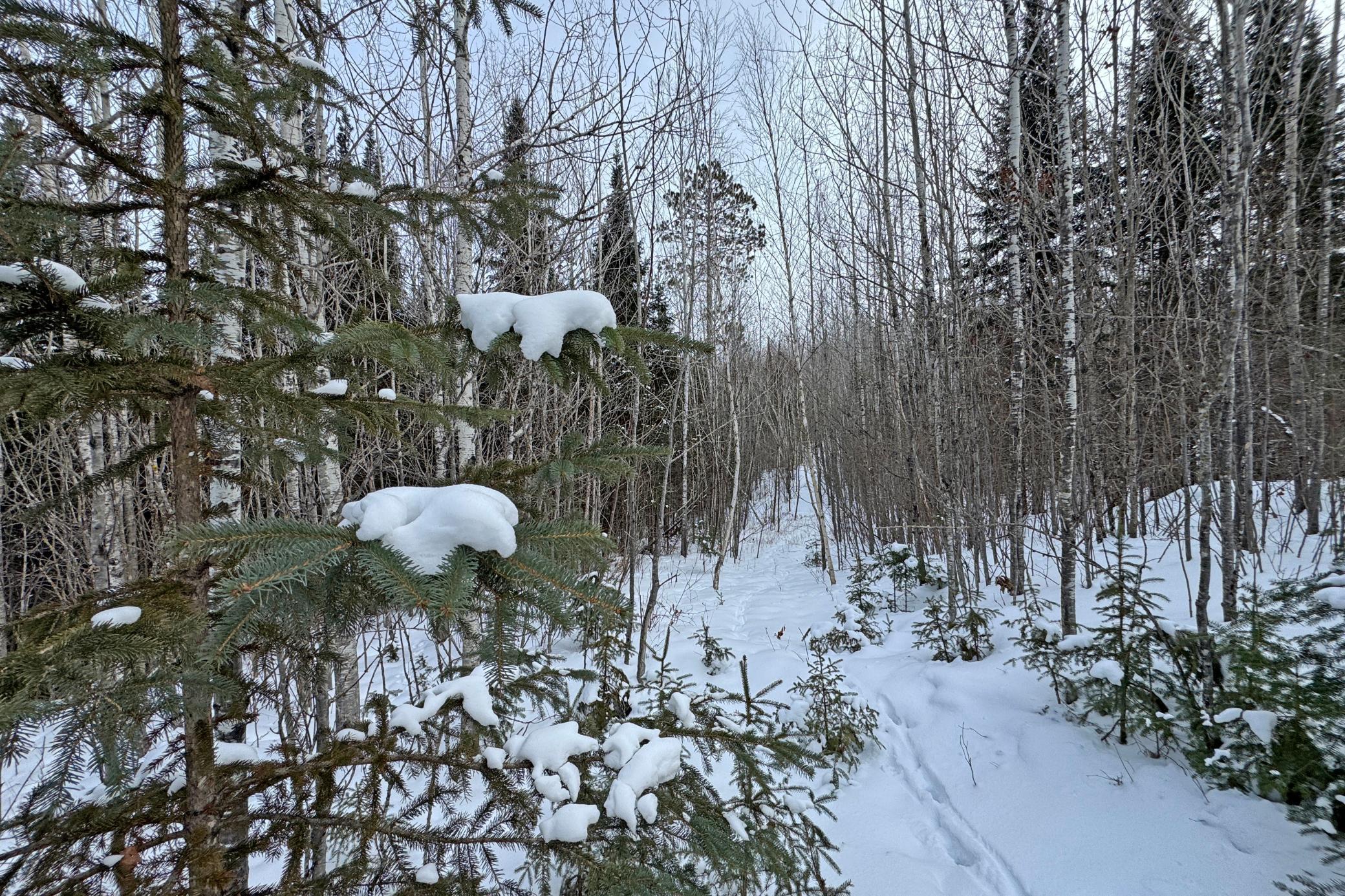 13398 Hart Lake Road Goodland, MN 55742 - Photo 46 of 60
