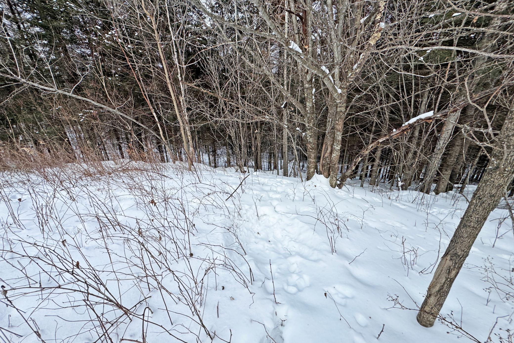 13398 Hart Lake Road Goodland, MN 55742 - Photo 47 of 60