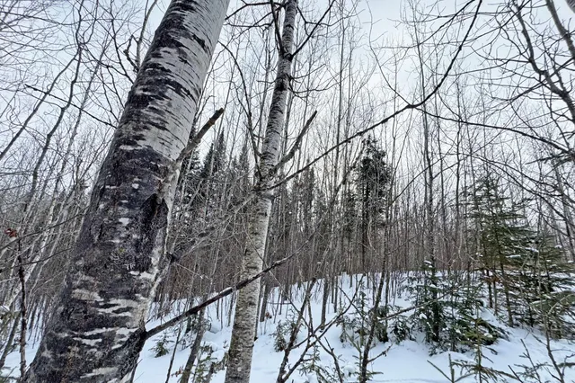 $345,000 | 13398 Hart Lake Road, Goodland, MN 55742