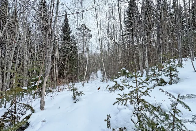 $345,000 | 13398 Hart Lake Road, Goodland, MN 55742