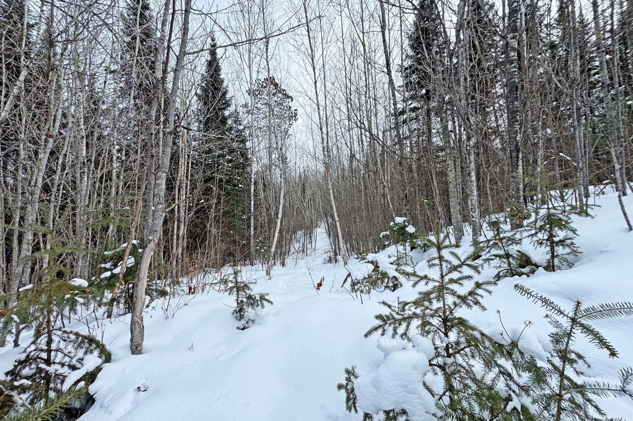 13398 Hart Lake Road Goodland, MN 55742 - Photo 49 of 60