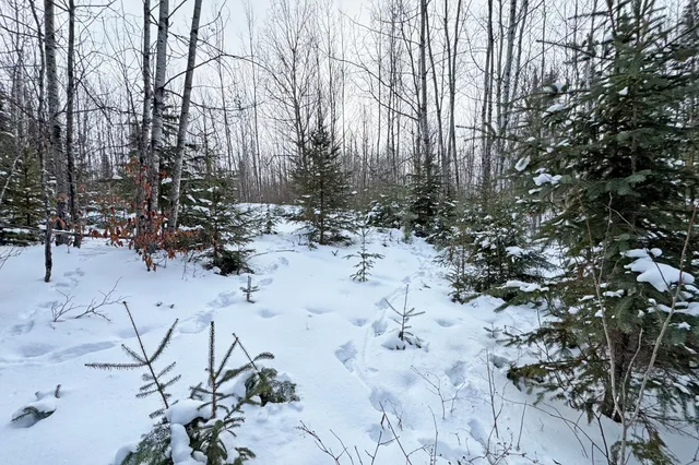 $345,000 | 13398 Hart Lake Road, Goodland, MN 55742