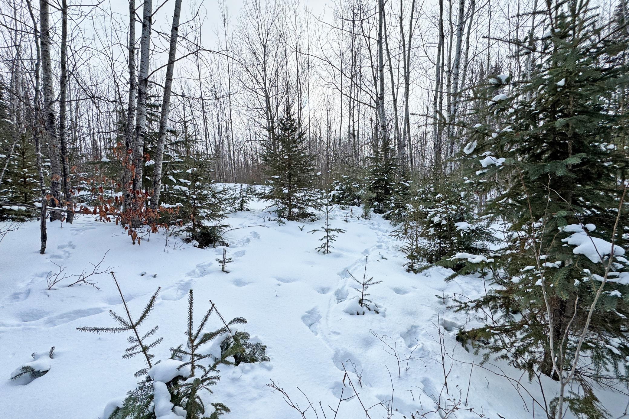 13398 Hart Lake Road Goodland, MN 55742 - Photo 50 of 60
