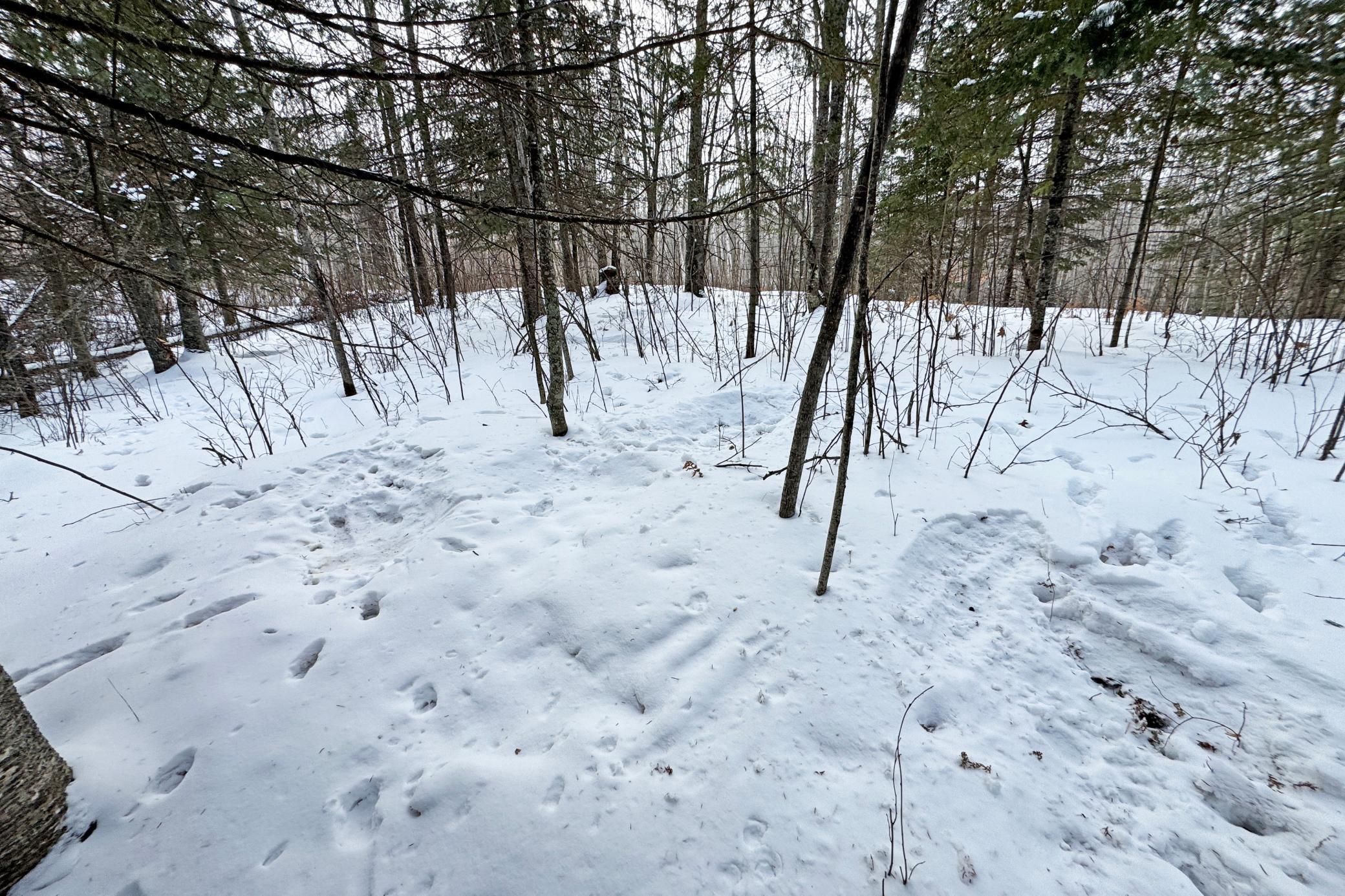 13398 Hart Lake Road Goodland, MN 55742 - Photo 51 of 60
