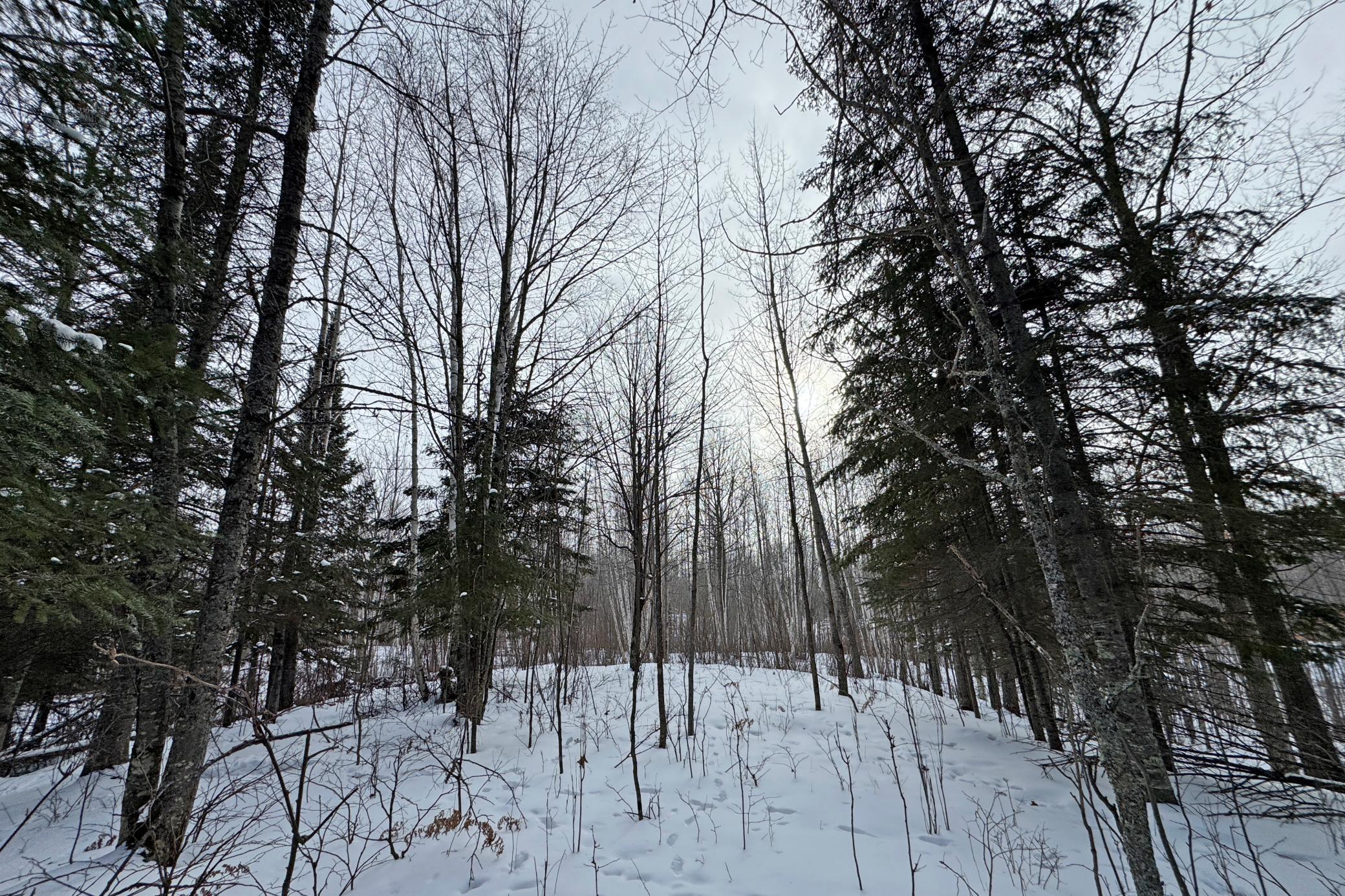 13398 Hart Lake Road Goodland, MN 55742 - Photo 52 of 60