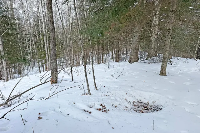 $345,000 | 13398 Hart Lake Road, Goodland, MN 55742