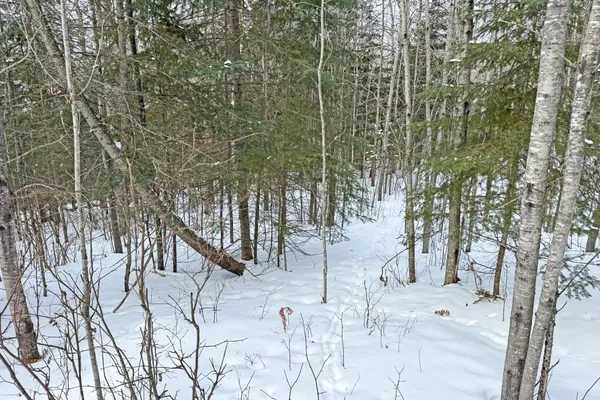 $345,000 | 13398 Hart Lake Road, Goodland, MN 55742