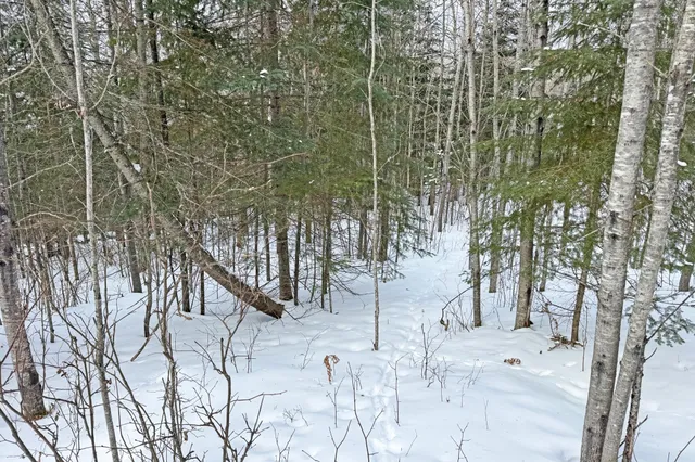 $345,000 | 13398 Hart Lake Road, Goodland, MN 55742