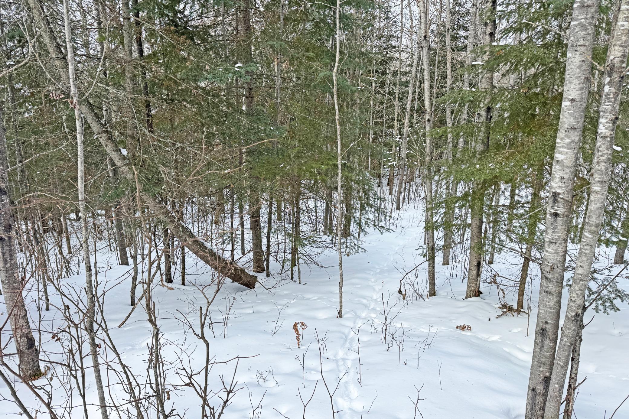 13398 Hart Lake Road Goodland, MN 55742 - Photo 54 of 60