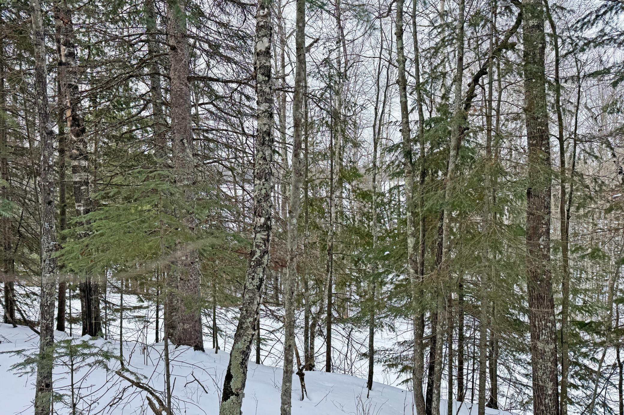 13398 Hart Lake Road Goodland, MN 55742 - Photo 55 of 60