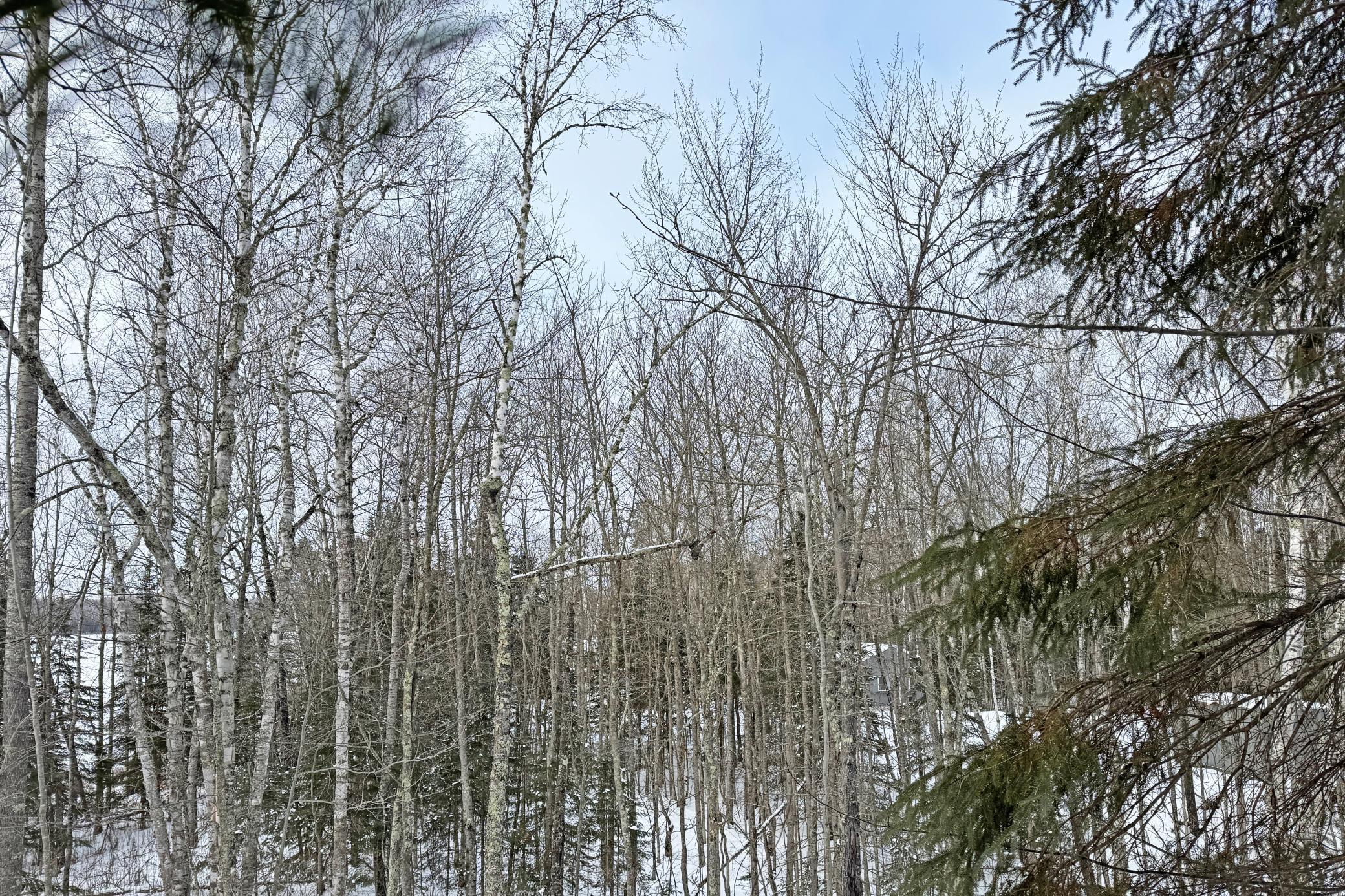 13398 Hart Lake Road Goodland, MN 55742 - Photo 56 of 60