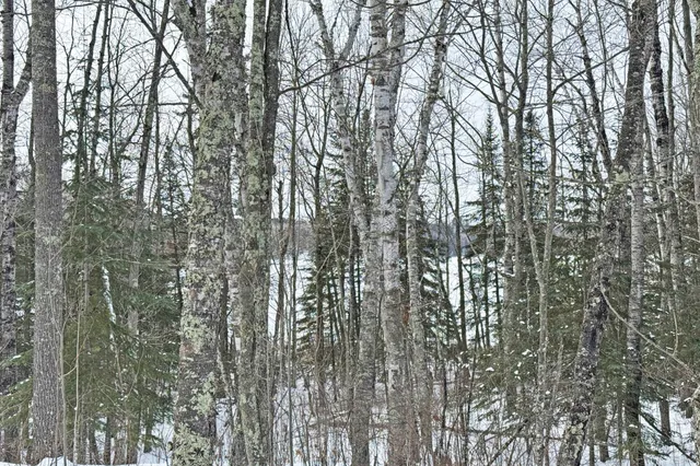 $345,000 | 13398 Hart Lake Road, Goodland, MN 55742