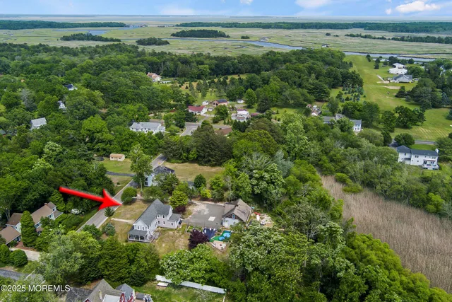 an aerial view of residential houses with outdoor space and trees