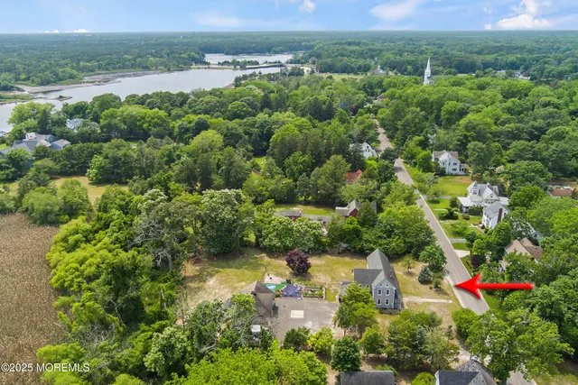 an aerial view of green landscape with trees houses and mountain view