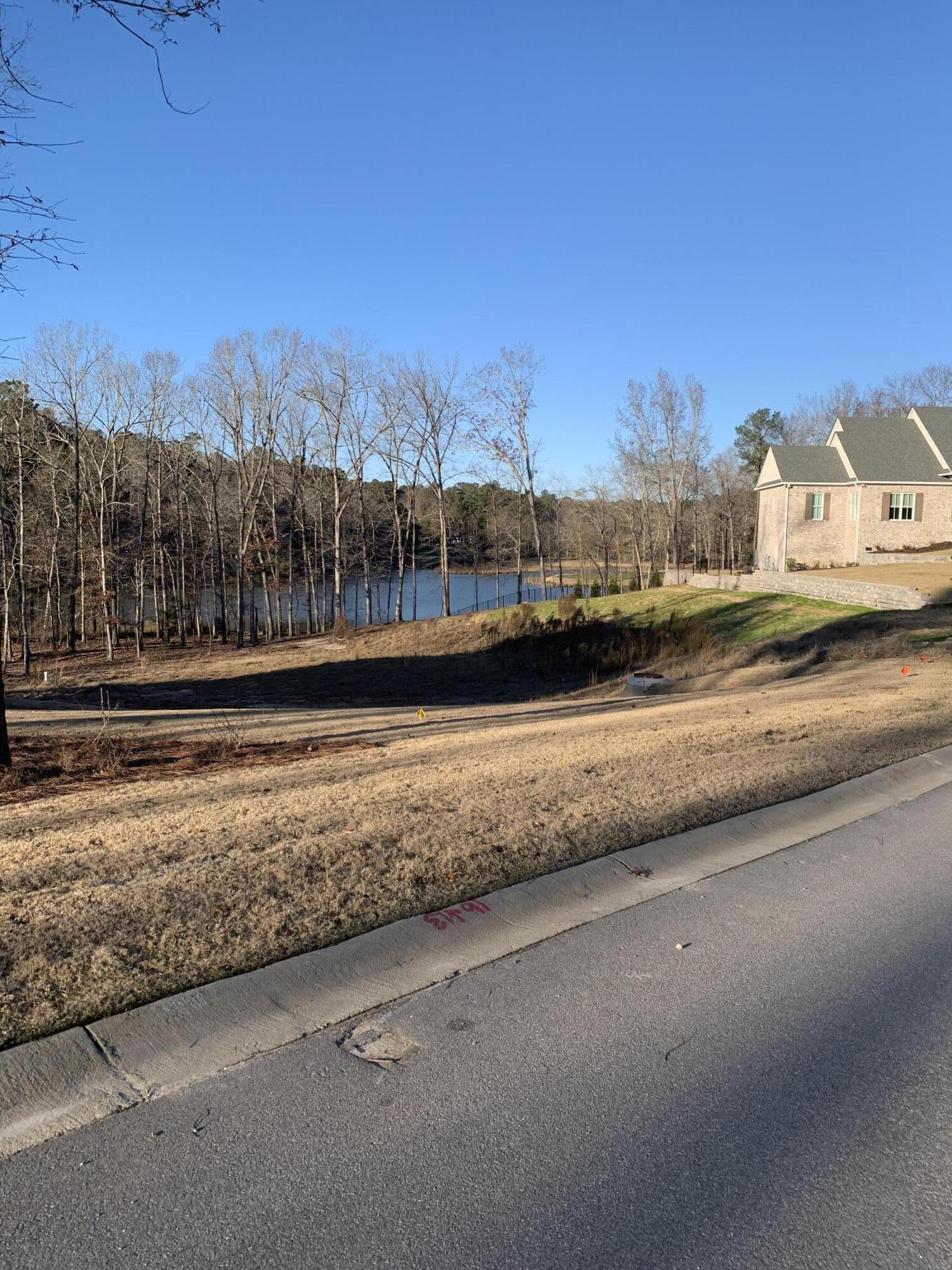 Lot 7 River Birch Road Aiken, SC 29803 - Photo 10 of 10 Gallery Image 10