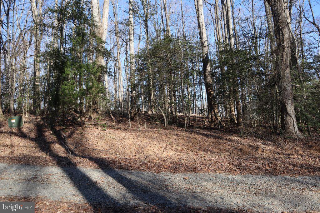 Mt Prospect Road Laneview, VA 22504 - Photo 9 of 10