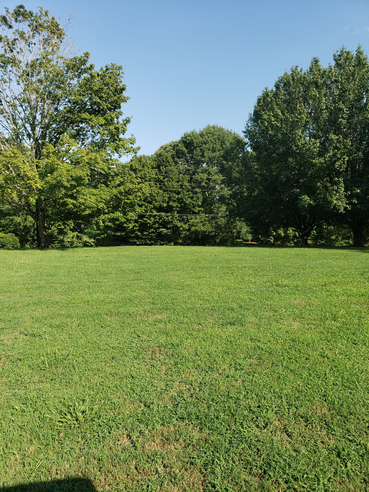 2952 Sweethome Road Chapmansboro, TN 37035 - Photo 42 of 48 Gallery Image 42