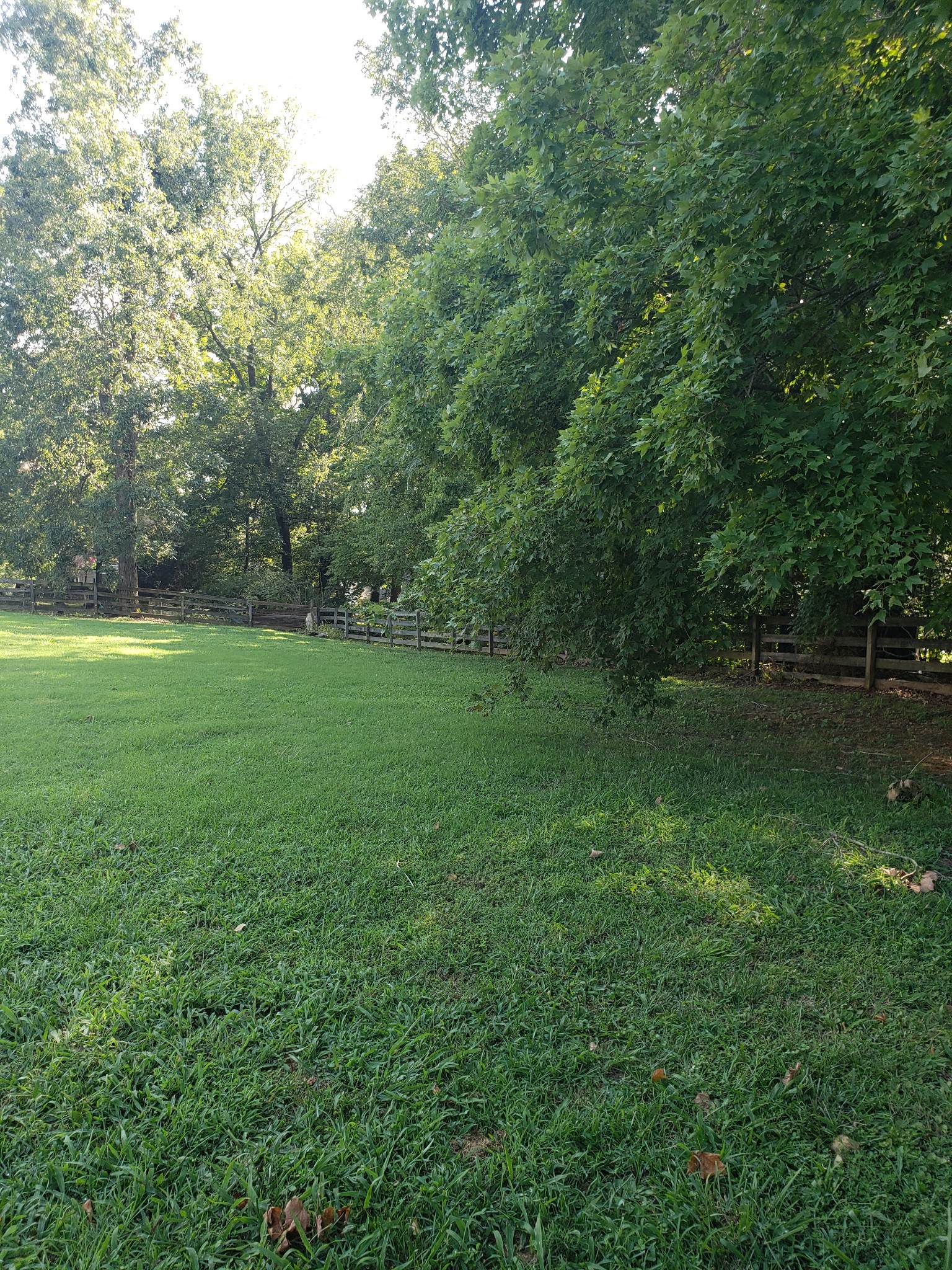 2952 Sweethome Road Chapmansboro, TN 37035 - Photo 44 of 48 Gallery Image 44
