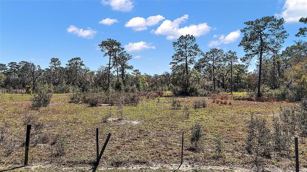 2700 Lent Road Apopka, FL 32712 - Photo 2 of 3