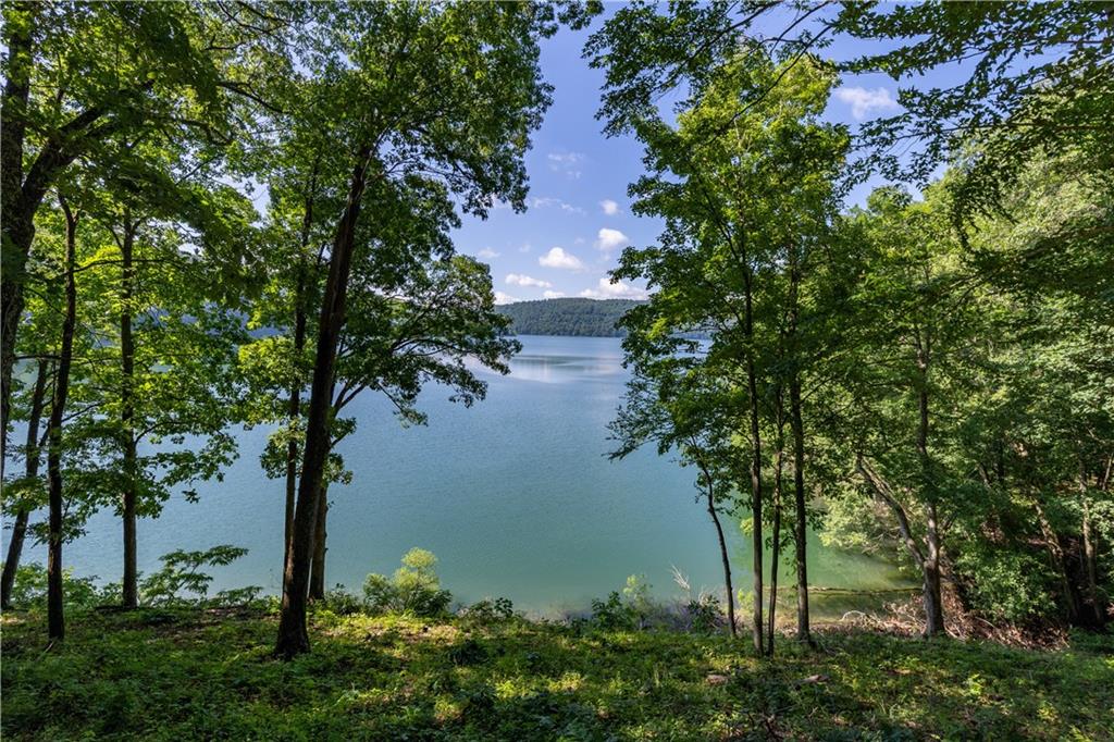 2675 Lakeview Road Confluence, PA 15424 - Photo 21 of 25 a view of a lake with a tree in the background