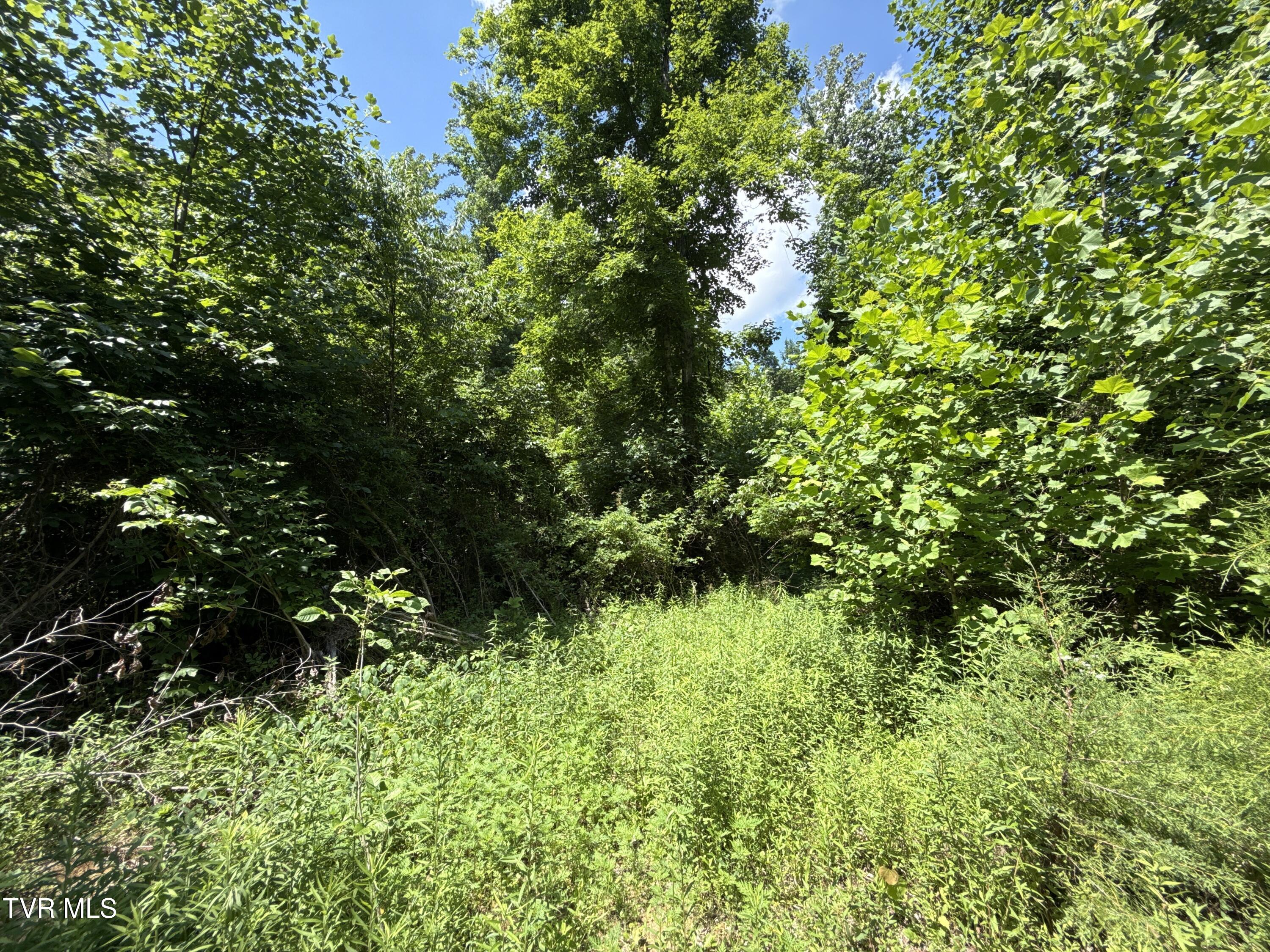 12-ac Max Jett Road Johnson City, TN 37601 - Photo 9 of 27 _Pic10 (3)