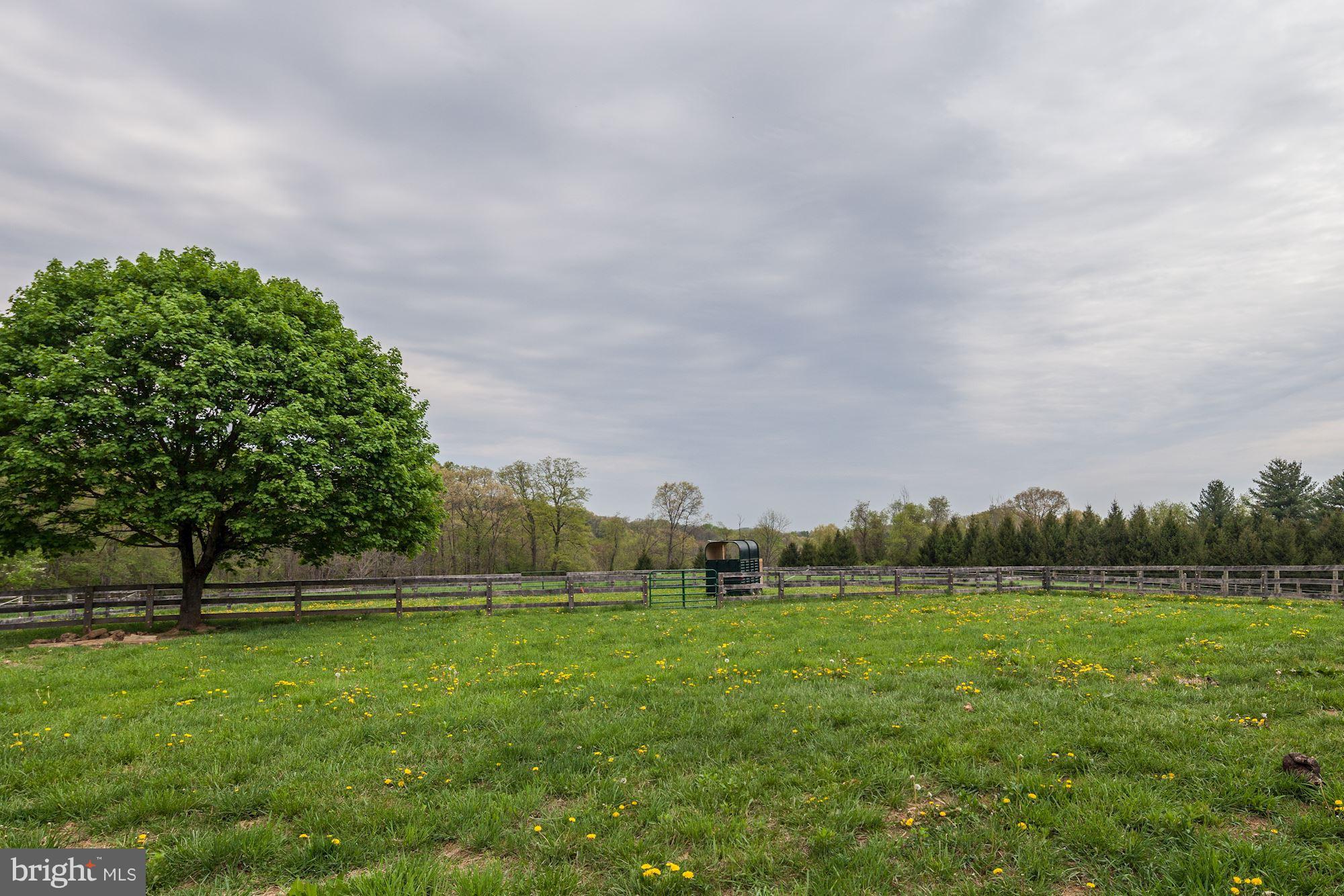 4924 Old Quarter Road Upperco, MD 21155 - Photo 23 of 28 oak board paddock