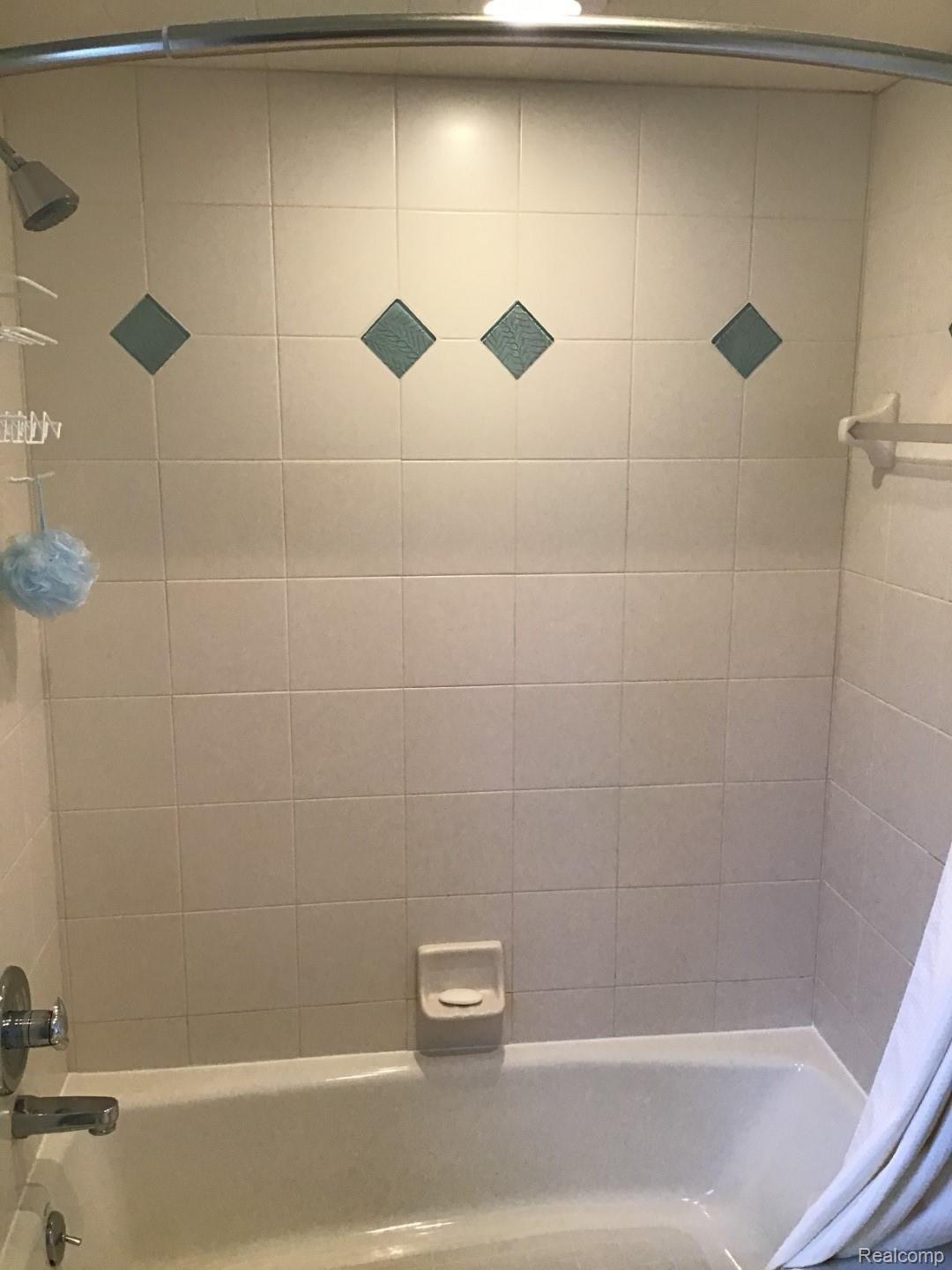 2881 Clarkston Road Oakland, MI 48363 - Photo 48 of 98 BathroomBlue (1) (Large).jpg