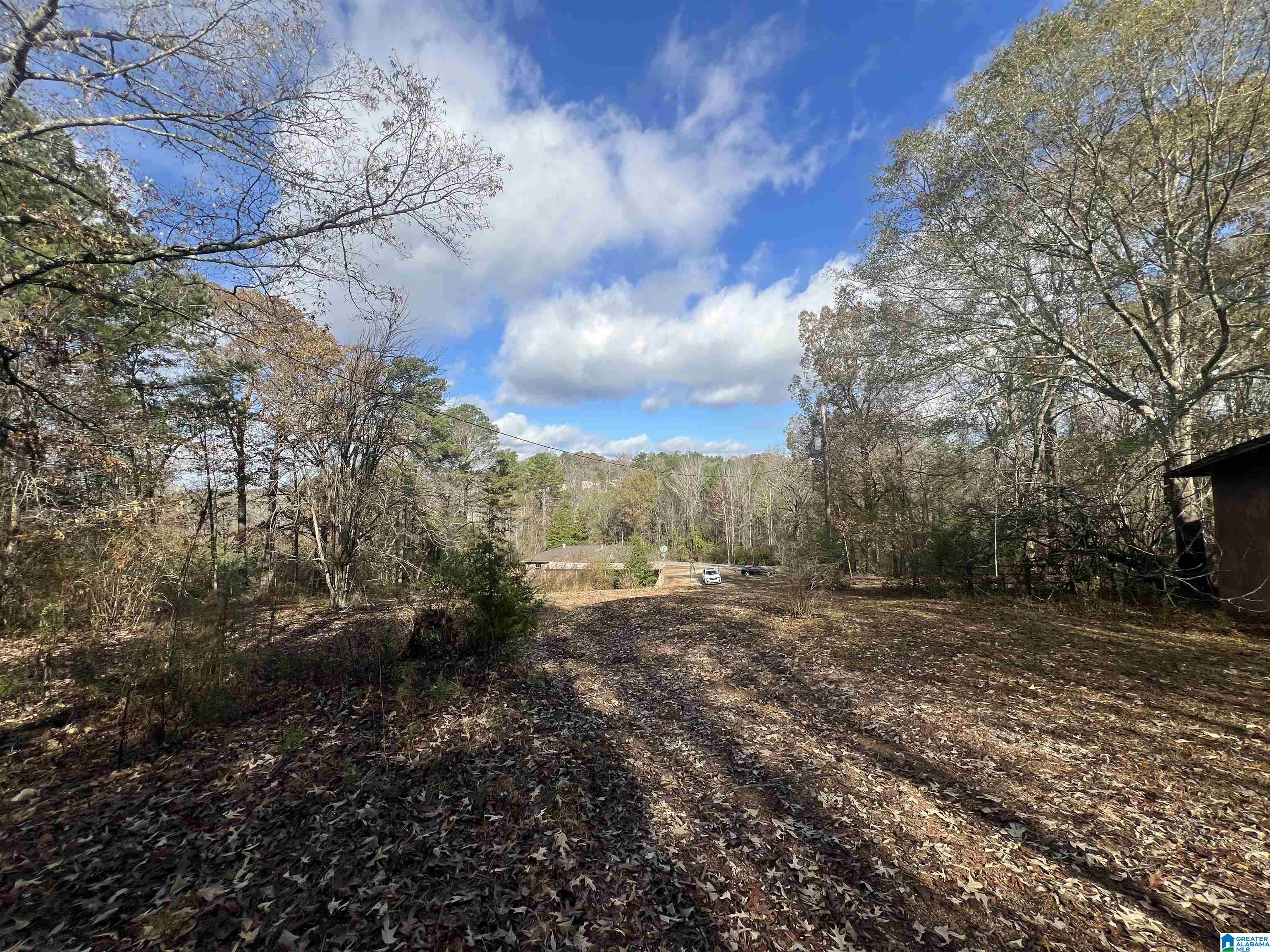 407 Jeter Road Talladega, AL 35160 - Photo 9 of 30 Gallery Image 9