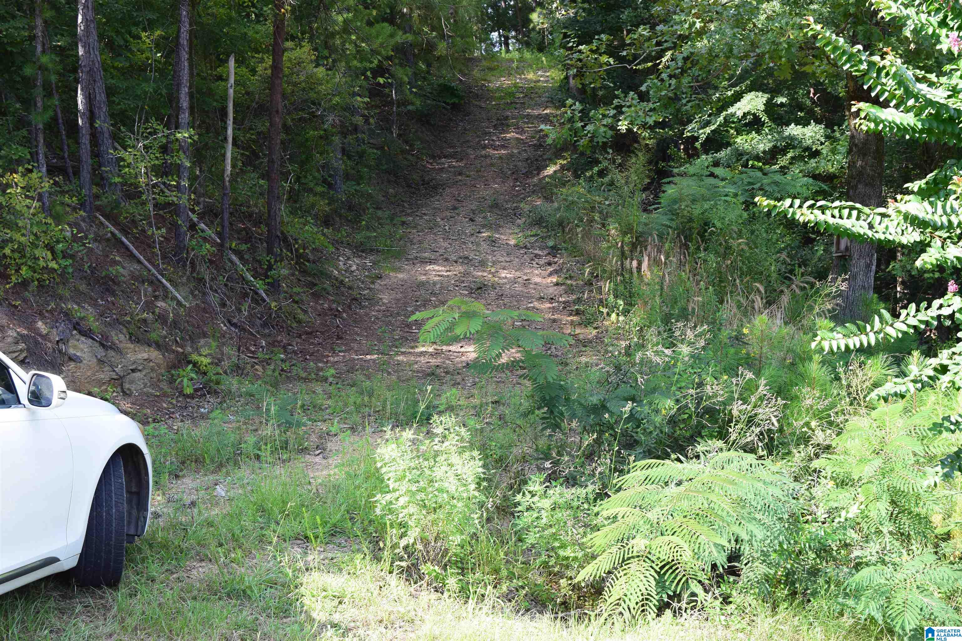 919 County Road Clanton, AL 35046 - Photo 4 of 8