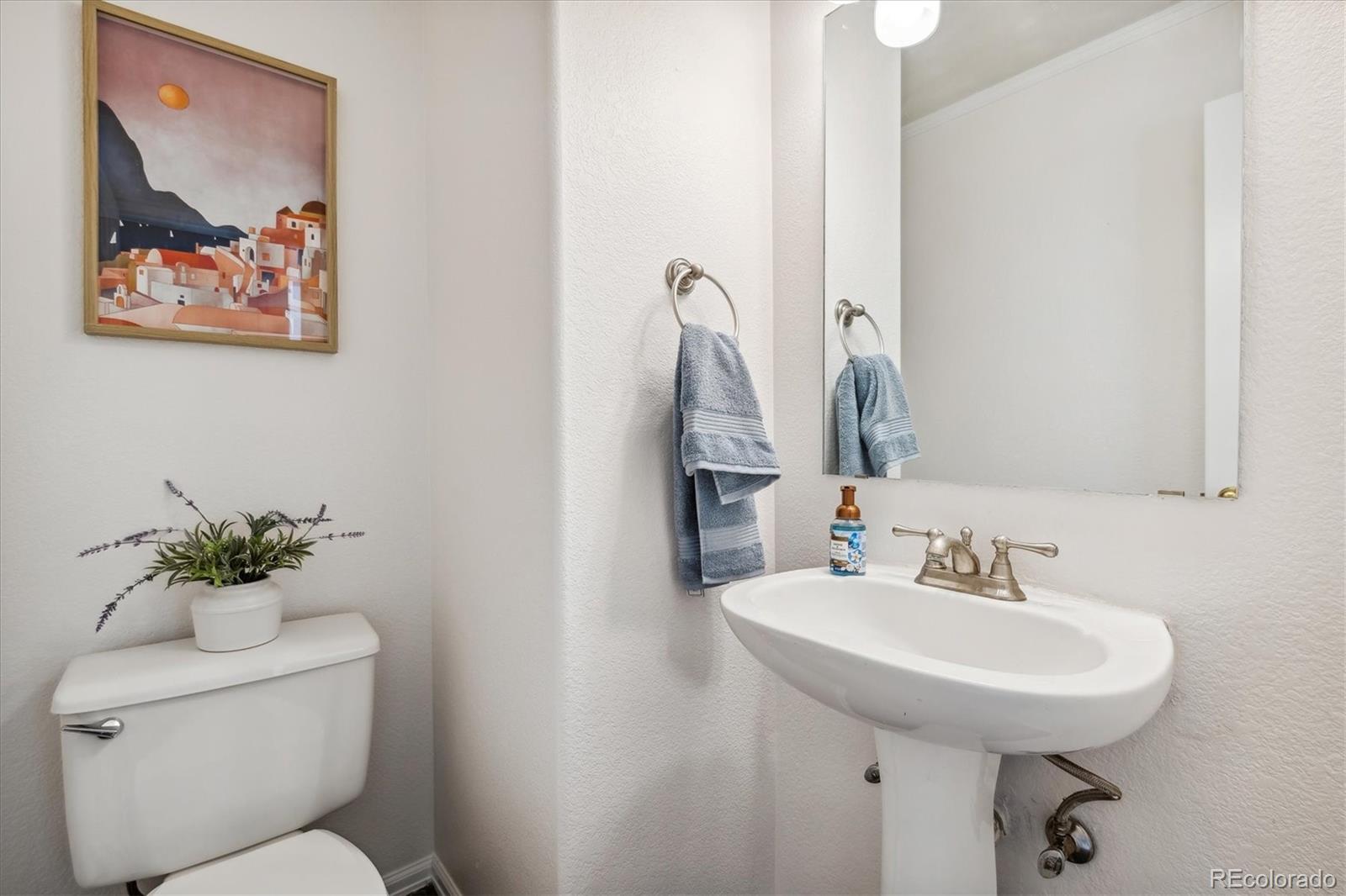 9611 Parramatta Place Highlands Ranch, CO 80130 - Photo 18 of 44 Gallery Image 18
