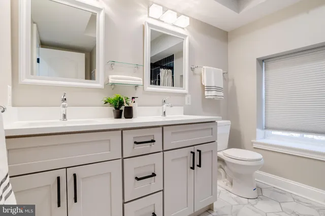 a bathroom with a toilet and a sink
