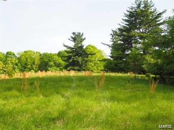 1700 Pond Road Glencoe, MO 63038 - Photo 14 of 15 Gallery Image 14