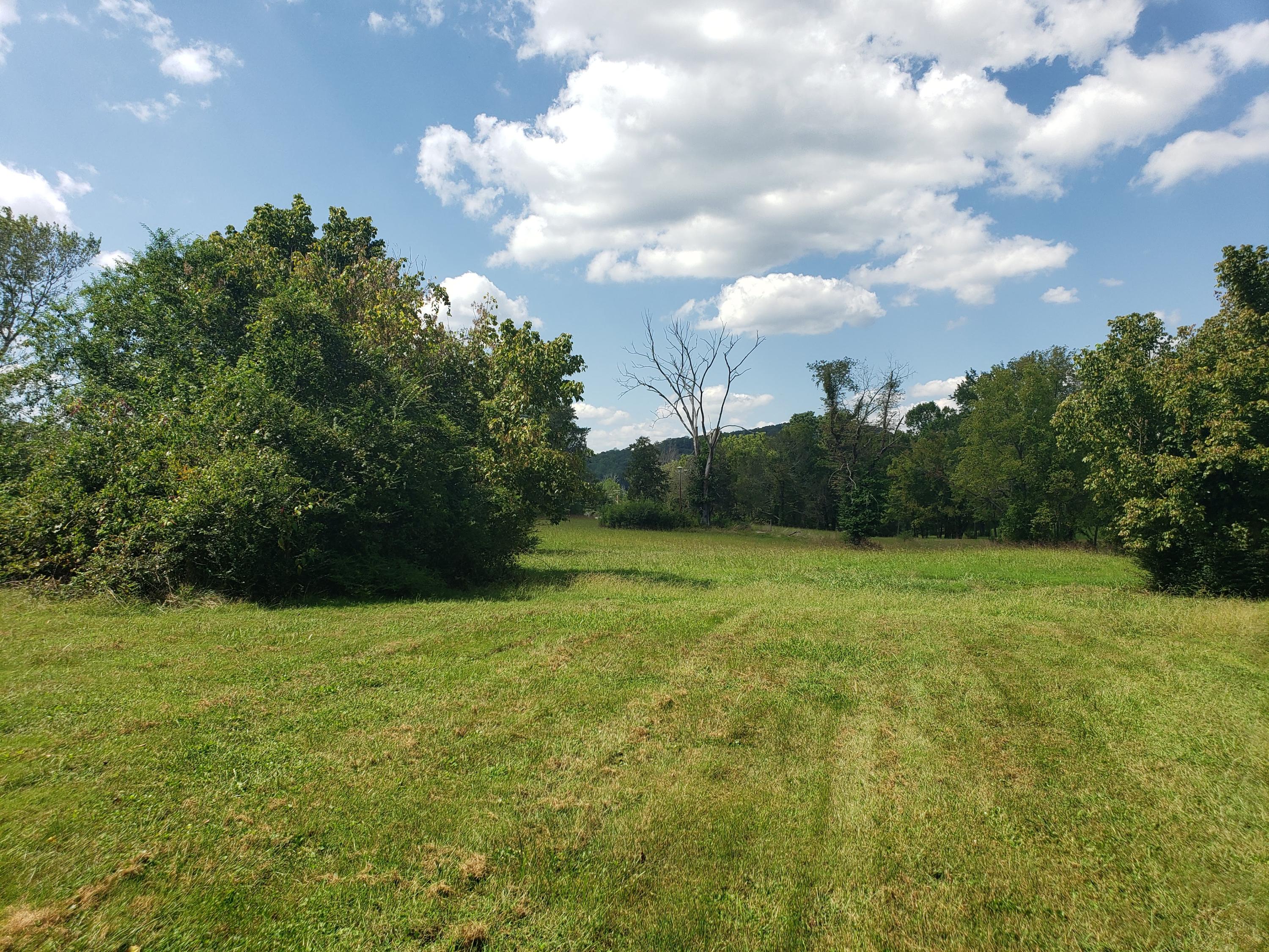 262 South Benedict Avenue Oak Ridge, TN 37830 - Photo 8 of 23 08
