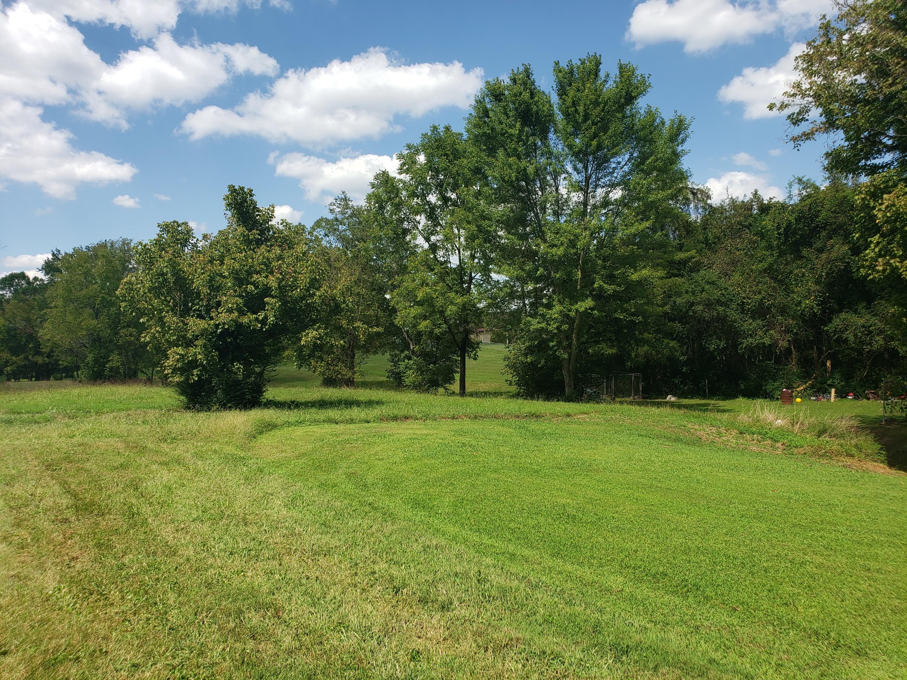 262 South Benedict Avenue Oak Ridge, TN 37830 - Photo 9 of 23 09