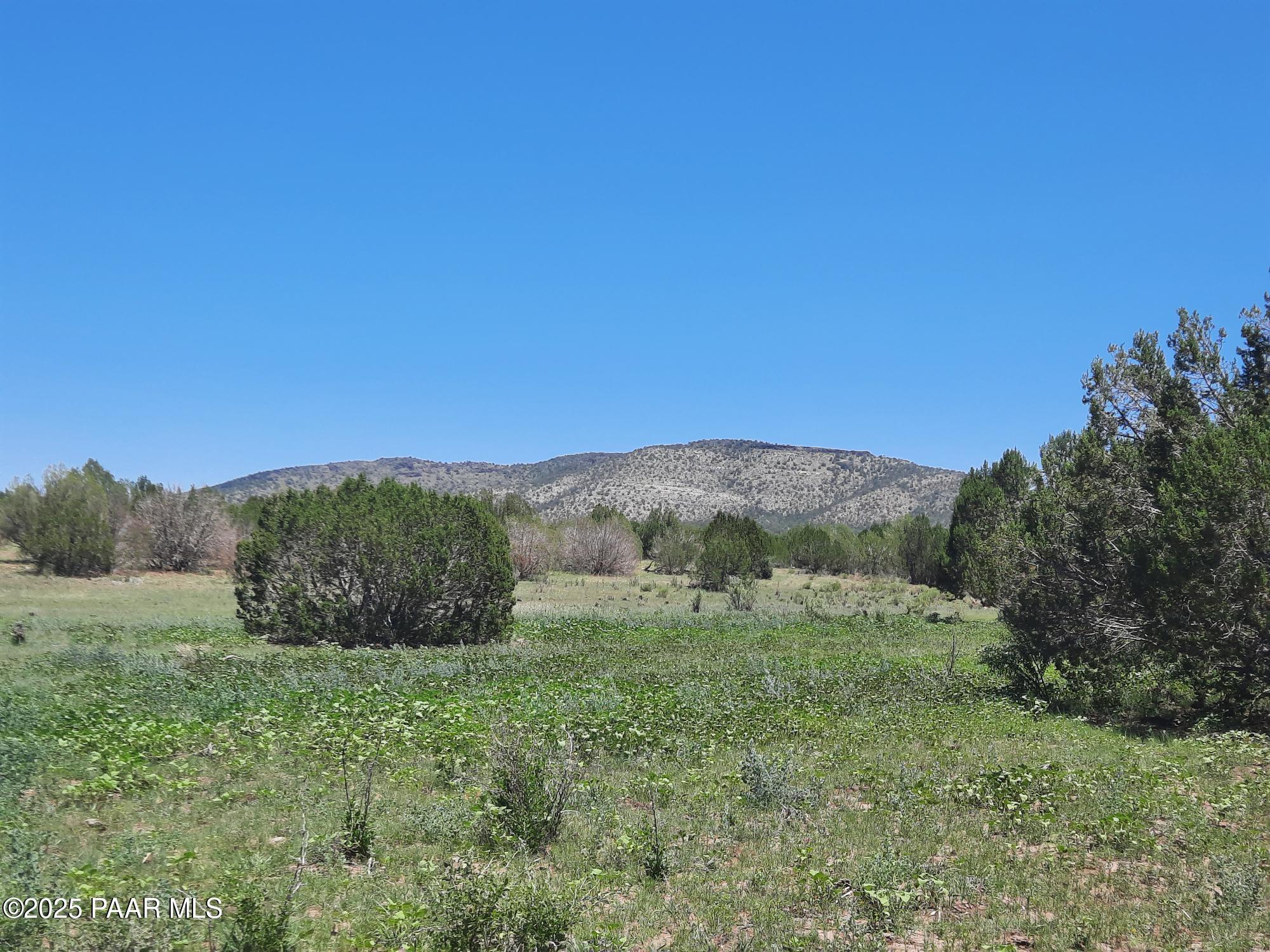 Lot 1316 North Anvil Rock Road Seligman, AZ 86337 - Photo 1 of 9 cover