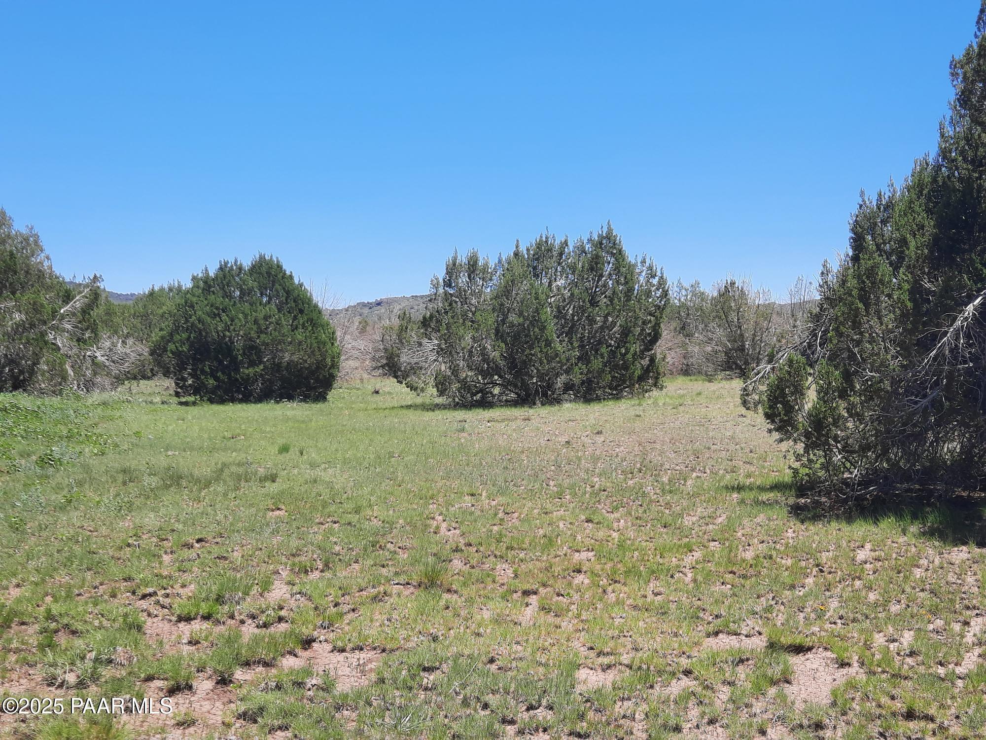 Lot 1316 North Anvil Rock Road Seligman, AZ 86337 - Photo 2 of 9 20250710_122213